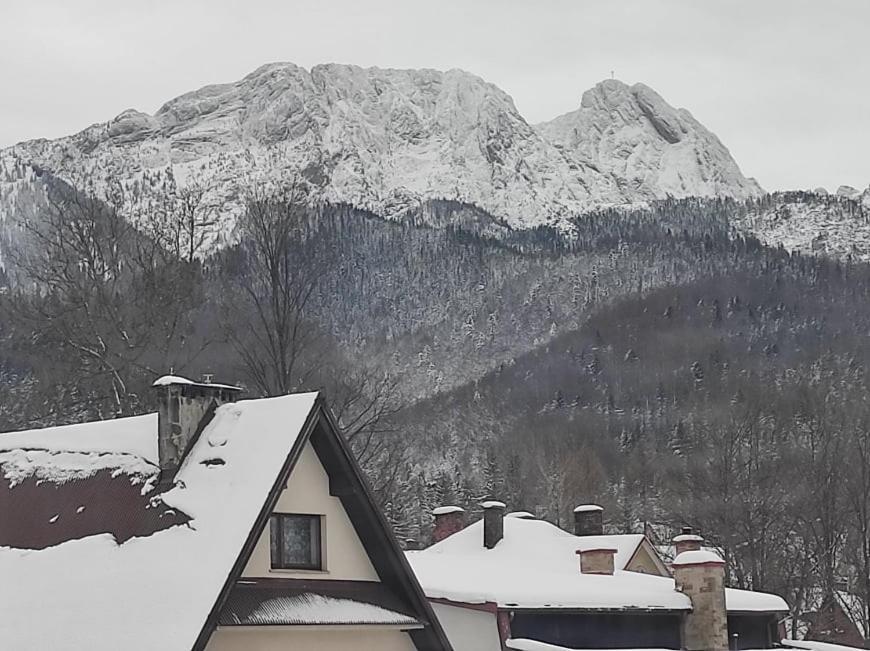 Arnika Wynajem Pokoi Daire Zakopane Dış mekan fotoğraf