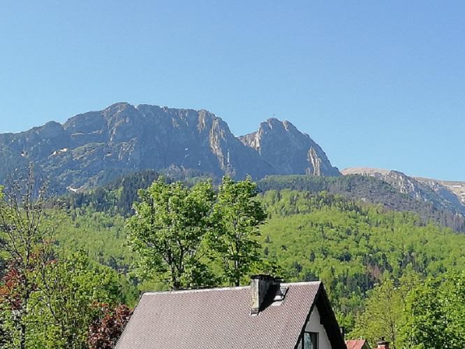 Arnika Wynajem Pokoi Daire Zakopane Dış mekan fotoğraf